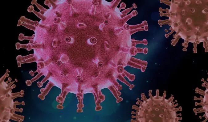 An Update on Life with Coronavirus